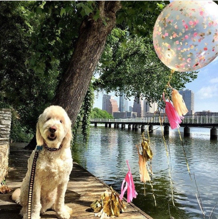 The Acai Lemonade With A Shot Of Confetti